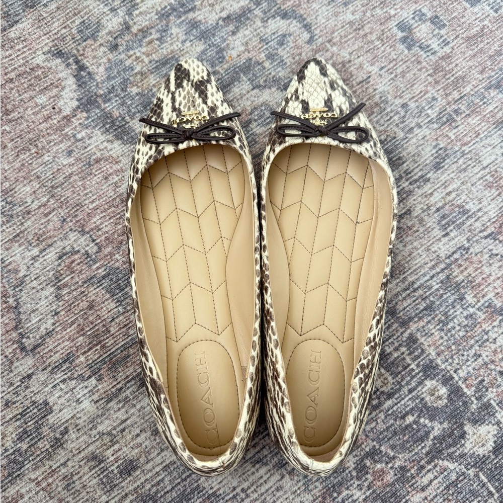 COACH Annabel snakeskin flat